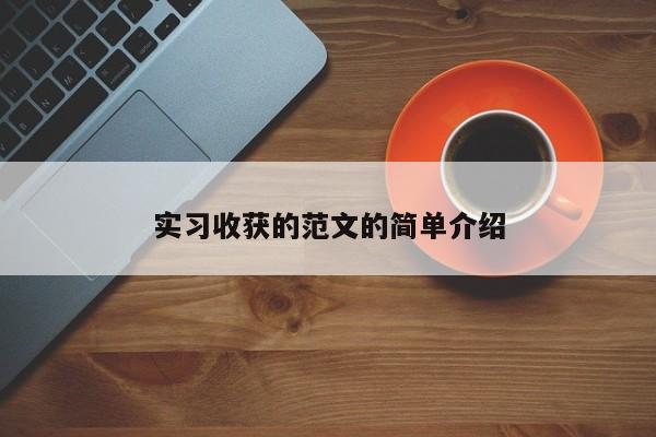 实习收获的范文的简单介绍