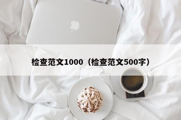 检查范文1000（检查范文500字）