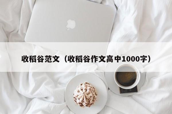 收稻谷范文（收稻谷作文高中1000字）