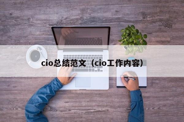 cio总结范文（cio工作内容）